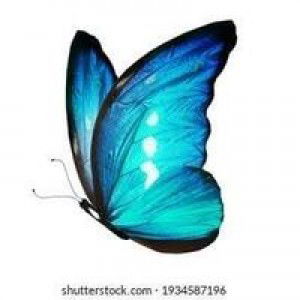 Mea Rhell profile icon