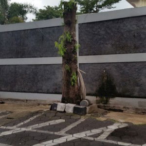 Chandra Firmansyah profile icon