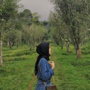 Vinanti profile icon