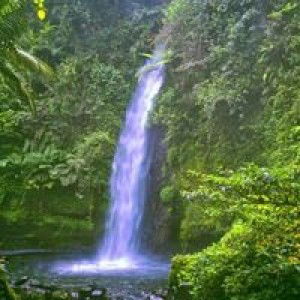 Juraini Aini profile icon