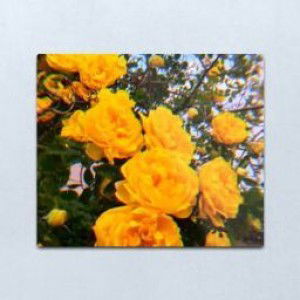 Nusaibah 22 profile icon