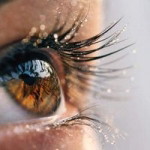 ฟาตอนะห์ อุมา profile icon