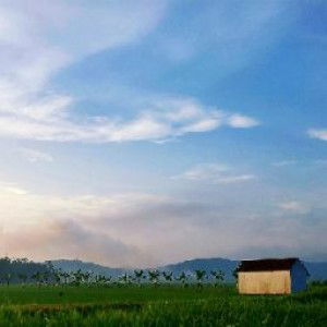 Rahmanita Irmayani profile icon