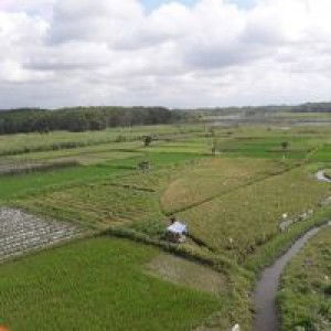 Ita Arrozzi profile icon