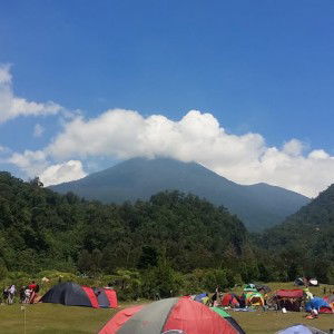 Ria phinta profile icon