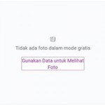 Faridatul Ula profile icon