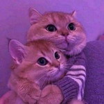 Ghi Ta Wlndry profile icon