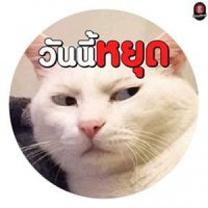 Mat Panumat profile icon