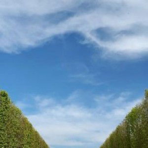 Ulfah Enno profile icon