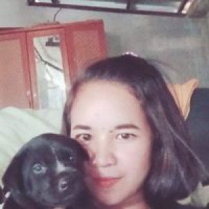 Phimphilai Ainpalai profile icon