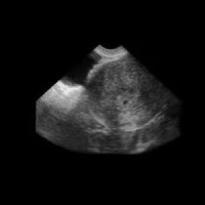 Lily Magdali profile icon