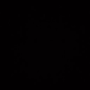 Sunarni profile icon