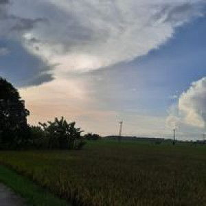 Adah Sa'adah profile icon