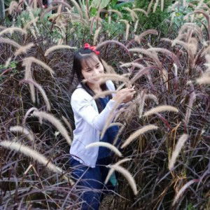 ลลิตา ว้งคีรี profile icon