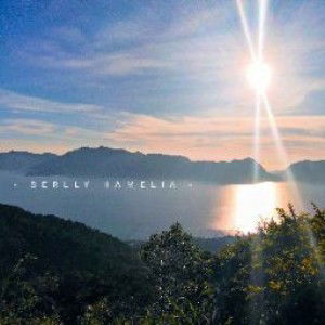 Serlly Hamelia profile icon