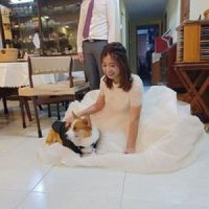 Danielle Ang shi hui profile icon