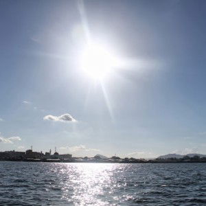 Fatin Solehah Abu Bakar profile icon