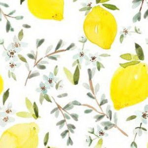 sisti anisa profile icon