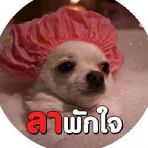 โชติกา สุวรรณกาศ profile icon