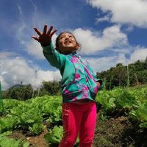 Murti Murtiansyie profile icon