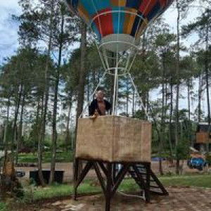 Wita Pertiwi profile icon