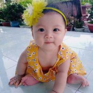 Nguyễn Linh profile icon