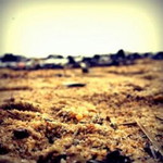 Afarha profile icon