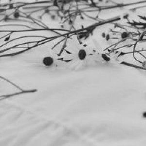 Lala Faqih profile icon