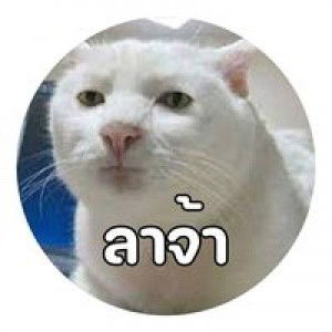 สุภัทชา พิมเส็ง profile icon