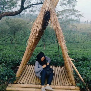 tania agustina profile icon