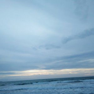 Cynthia Revani Mahardika profile icon