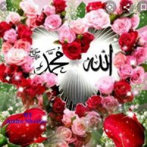 Zainab Syahidah Lokman profile icon