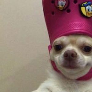 เทพเจ้าสายฟ้าฟาด ไข่ขาดกันเลยทีเดียว profile icon