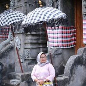 Dian Wahyuni profile icon