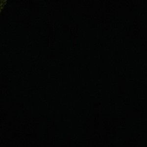 Bocil krucil profile icon