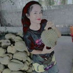 Jhittra Yothin Kayankan profile icon