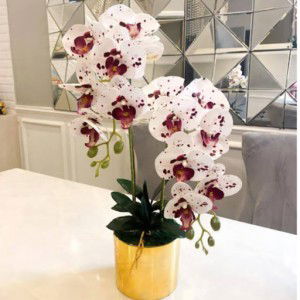 Siti Salmiah profile icon