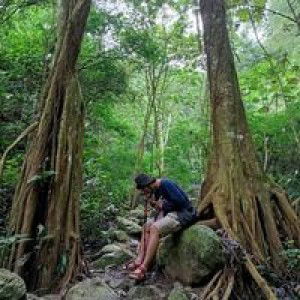 Dennis Adhitya Mocodompis profile icon