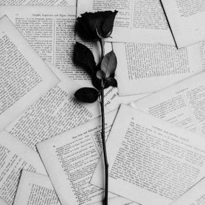 ahshahlin syakilah profile icon