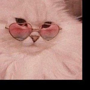 Fqh Affh profile icon