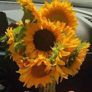 Hidayati Pertiwi profile icon