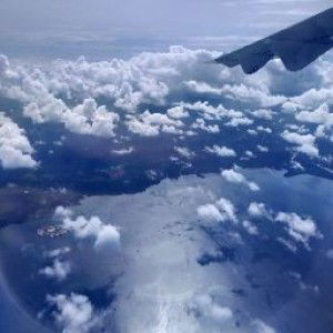 Miera QQ profile icon