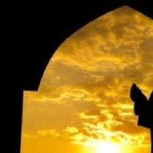 Silviana S profile icon