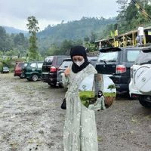 Alfina Herawati profile icon