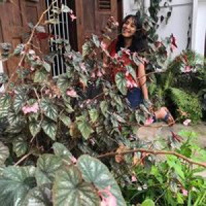 Reffi Siwi profile icon