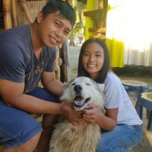 Anna Marvelyn profile icon