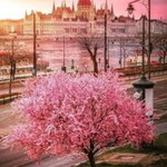 Siti khotmilatun profile icon