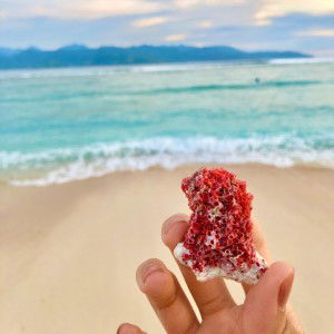 Dnami official profile icon