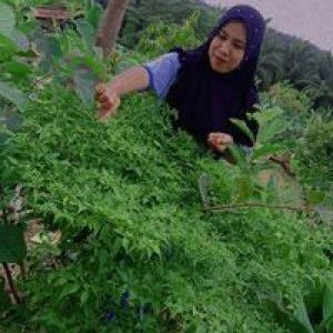 Eni Emiliati profile icon