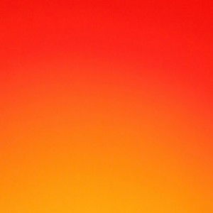 misz NF profile icon